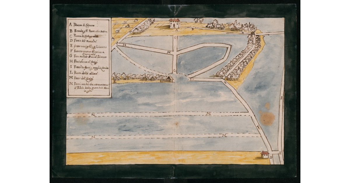 [Pianta della Tenuta di Coltano]