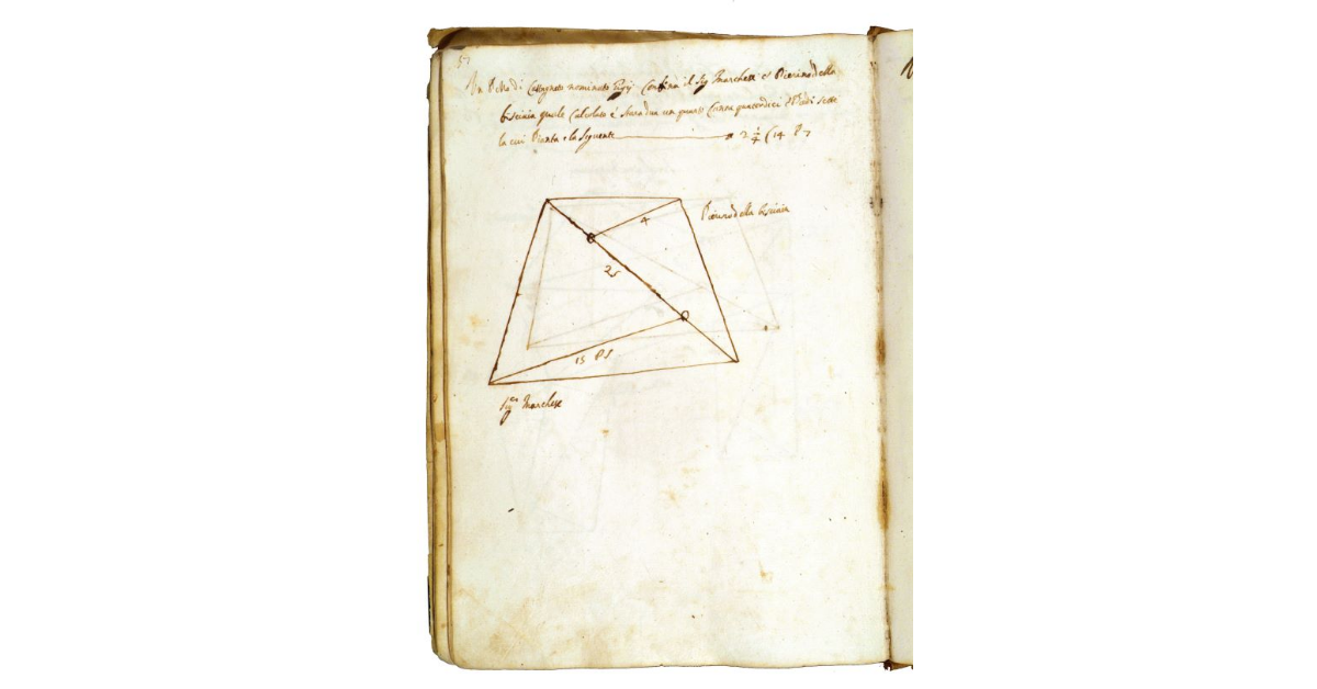 [Castagneto nominato "Gigi"]