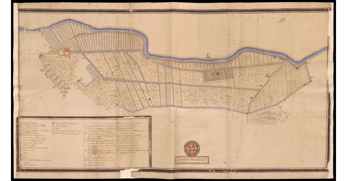 [Pianta della Tenuta della Virgiliana sul fiume Mincio nel Mantovano]