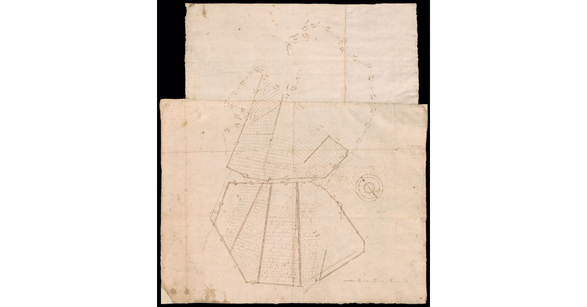 [Pianta del Podere detto Monteverdi]