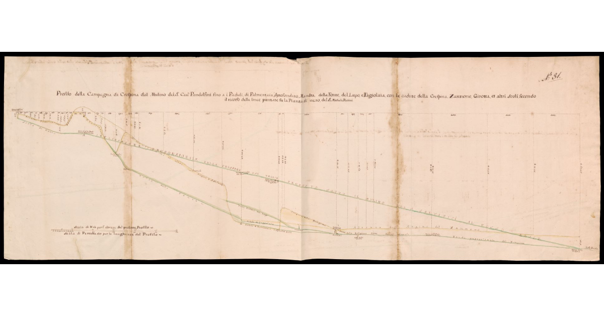 Profilo della campagna di Crespina dal mulino del Sig. Cav. Pandolfini fino al Paduli di Palmentaia, Sprofondato, Mandra, della Fonte, del Lupo e Fagiolaia, con le cadute della Crespina, Zannone, Girotta et altri scoli