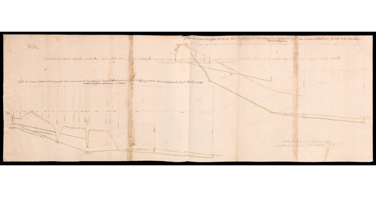 [Profili della campagna di Crespina fino alla pianura livornese]