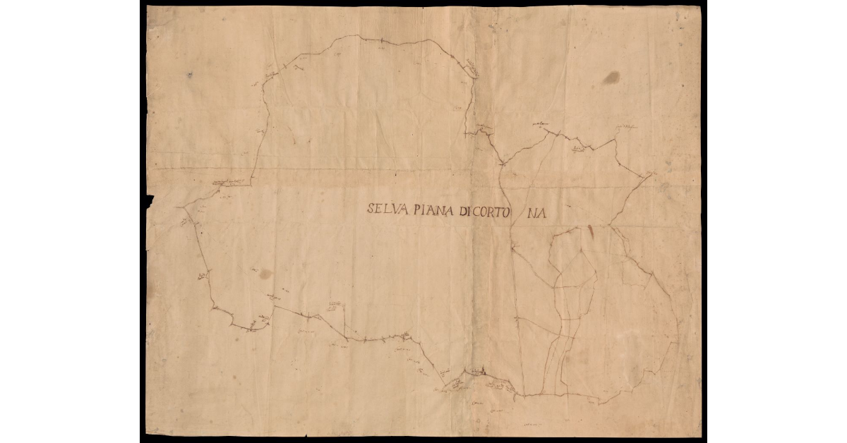[Pianta della circonferenza della tenuta di] Selva Piana di Cortona