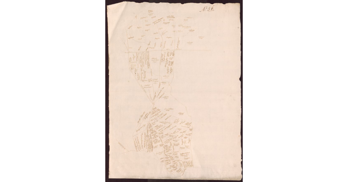 [Pianta di terreni dell'imposizione dei corsi d'acqua Riosecco, Mandriola e Pidocchio sulla Via Pisana nel Valdarno di Sotto]