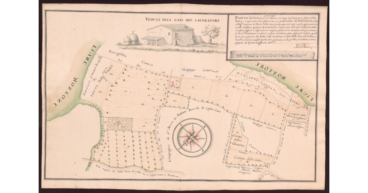 Pianta del Podere di Via Nuova con casa da lavoratore posto nella balia e Capitanato di Castrocaro