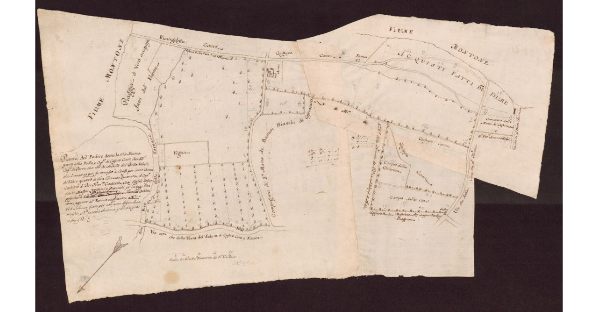 Pianta del Podere detto la Via Nuova posto nella Balia e Capitanato di Castrocaro