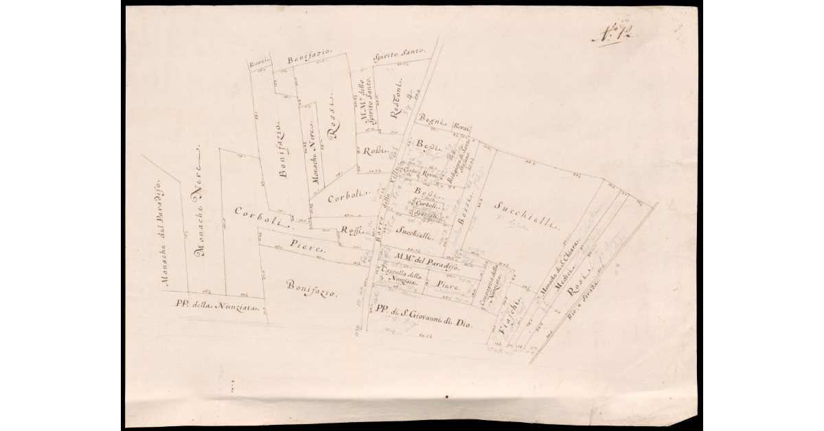 [Pianta di terreni lungo il Borro delle Ville nel Valdarno di Sopra a Figline]