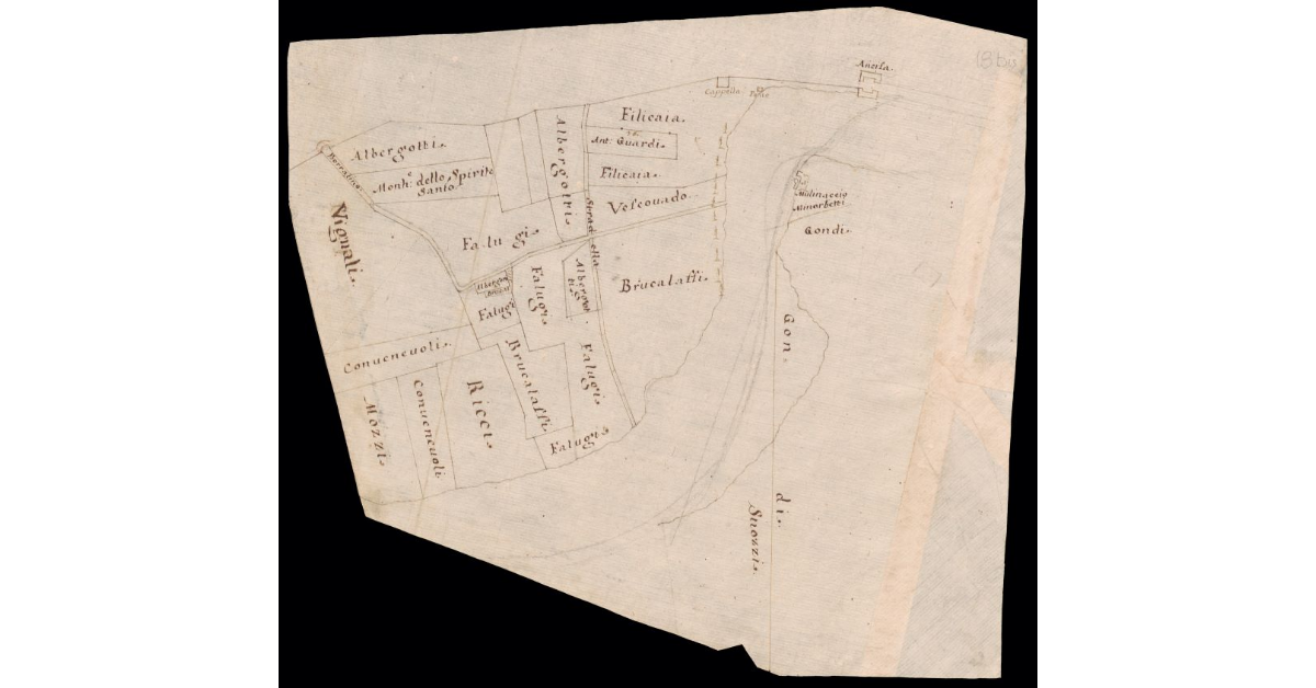 [Pianta di appezzamenti di terreno lungo il fiume Arno nei pressi di Incisa]