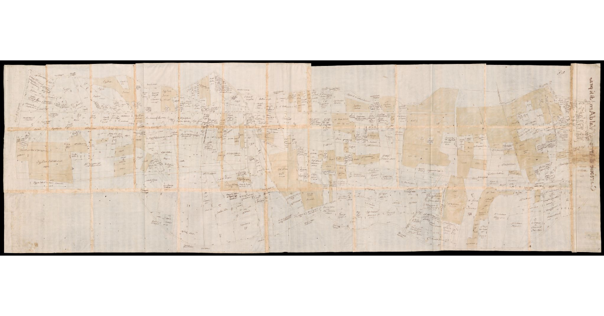 [Pianta dei terreni lungo il corso dell'Arno tra il Borro di S. Cipriano e poco oltre il Borratino degli Orti per l'Imposizione del Valdarno di Sopra]