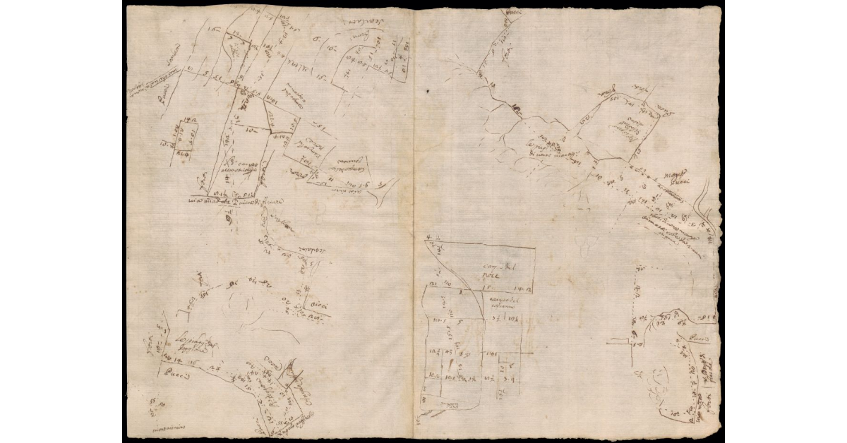 [Disegno di appezzamenti di terra nell'Empolese]