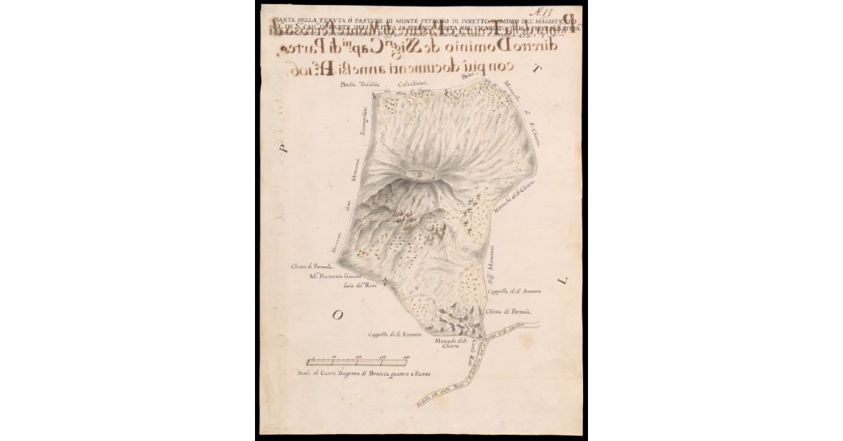 Pianta della Tenuta o pasture di Monte Petroso [...] nel Vicariato della Pieve a S. Stefano
