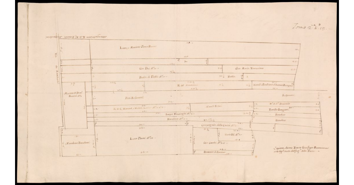 [Pianta di terreni lungo il fiume Arno con i rispettivi proprietari nei pressi di San Donnino]