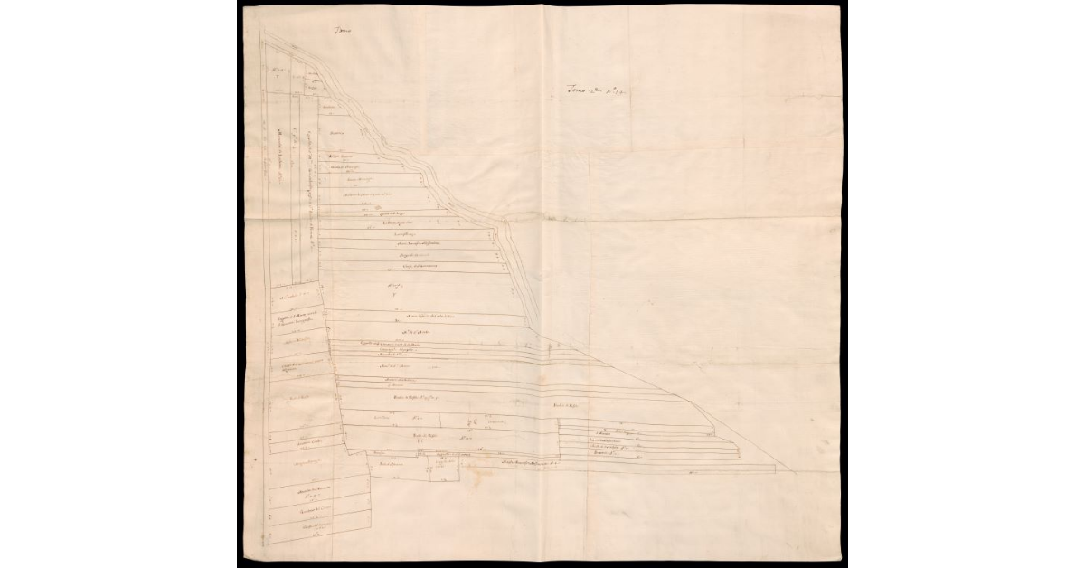 [Pianta di terreni a destra dell'Arno e lungo il Canale Macinante presso San Donnino con i relativi proprietari]