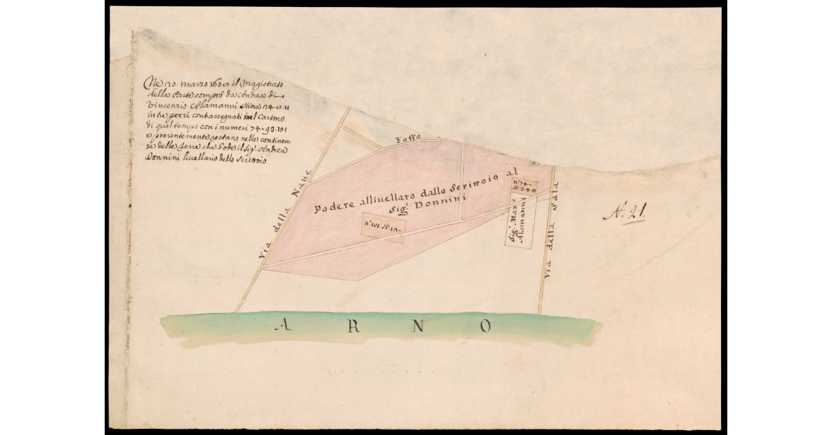 [Pianta di un podere nei pressi dell'Arno]