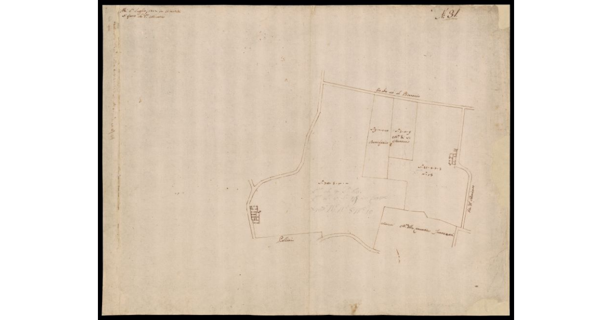 [Sbozzo di appezzamenti di terreno della tenuta di San Colombano nei pressi del corso del fiume Arno]