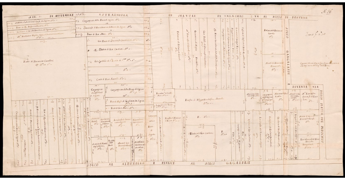 [Pianta di appezzamenti di terreno lungo il fiume Arno nei pressi di Lastra a Signa e San Colombano]