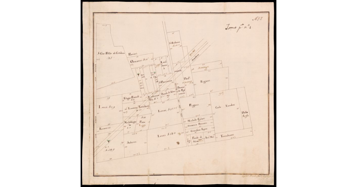 [Pianta di appezzamenti di terreno lungo il fiume Arno nei pressi di San Biagio a Petriolo]