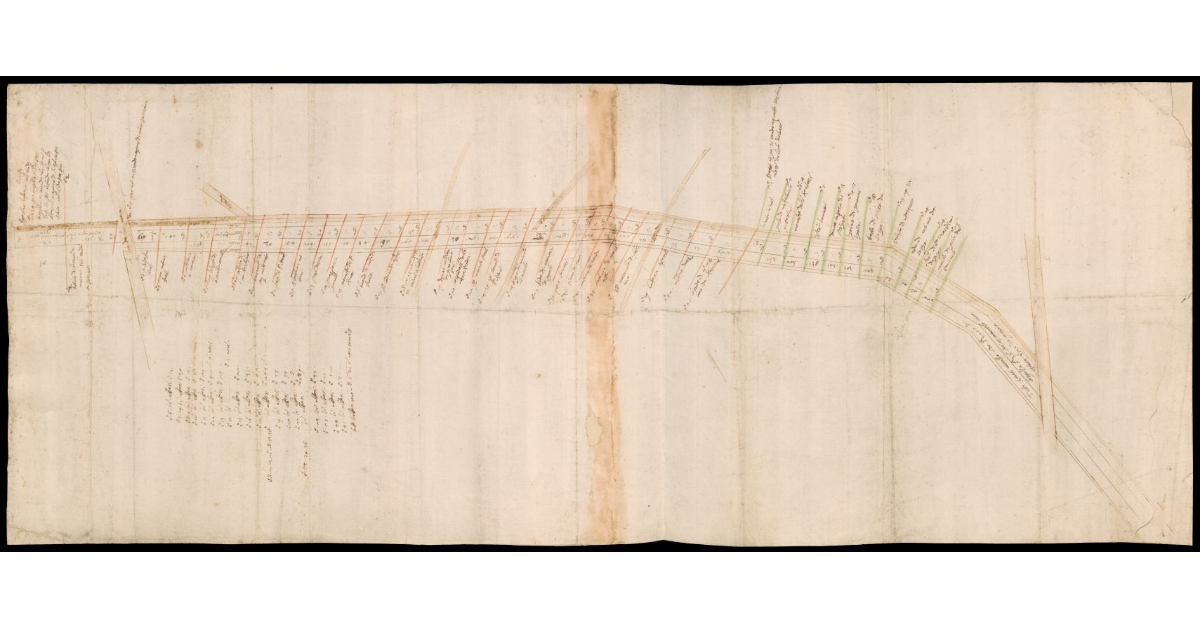 [Disegno di un tratto del Rio Vecchio con i proprietari confinanti]