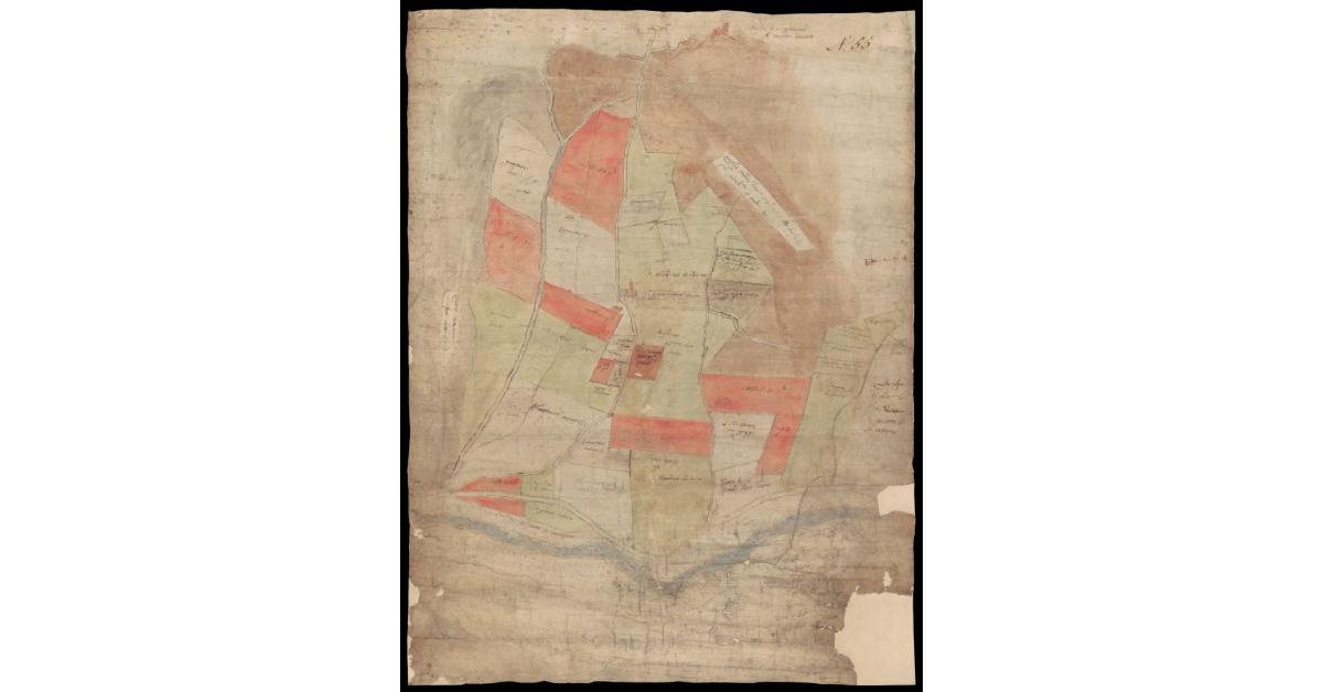 [Pianta del territorio tra il fiume Montone e la Chiesa di San Giovanni di Monte Bovaro]