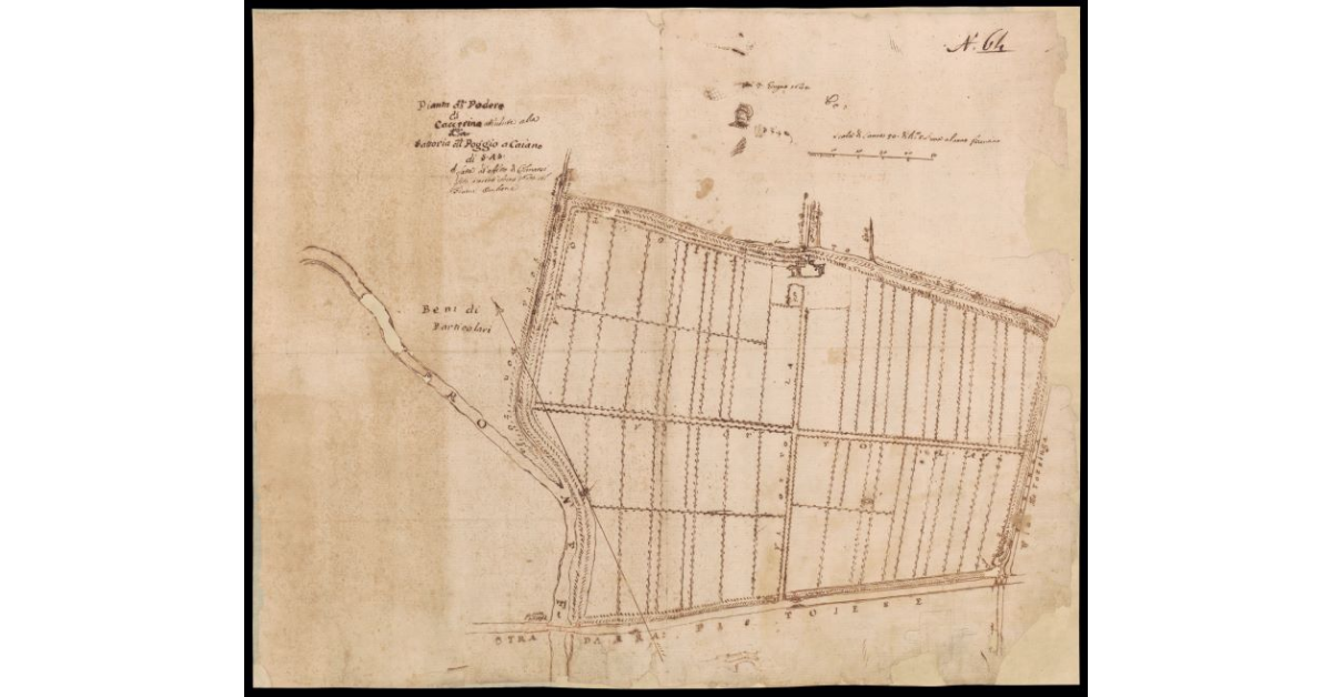 Pianta del Podere di Caccerina attenente alla Fattoria di Poggio a Caiano di S.A.S. fatta ad effetto di colmarsi questo presente anno 1684 col Fiume Ombrone