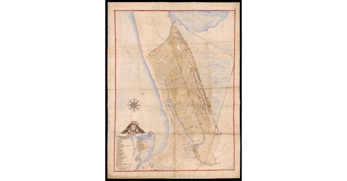 Pianta fatta con le misure della Tenuta di Migliarino dell'Illustrissimo Marchese Salviati