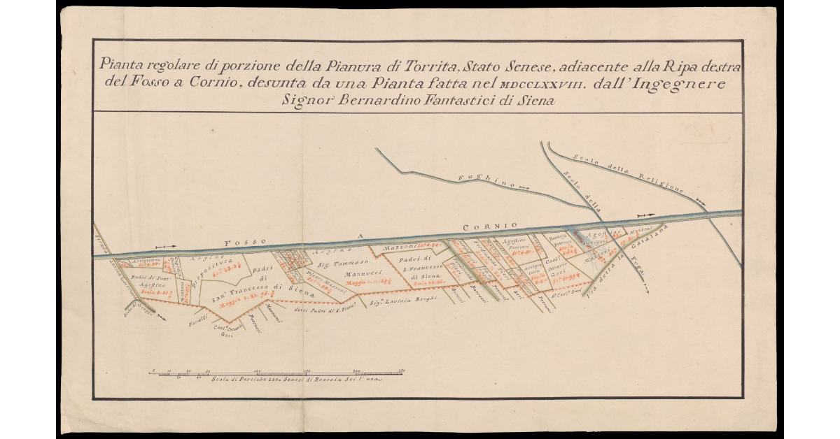 Pianta regolare di porzione della Pianura di Torrita, Stato Senese, adiacente alla Ripa destra del Fosso a Cornio desunta da una pianta fatta nel MDCCLXXVII, dall'Ingegnere Sig. Bernardino Fantastici di Siena