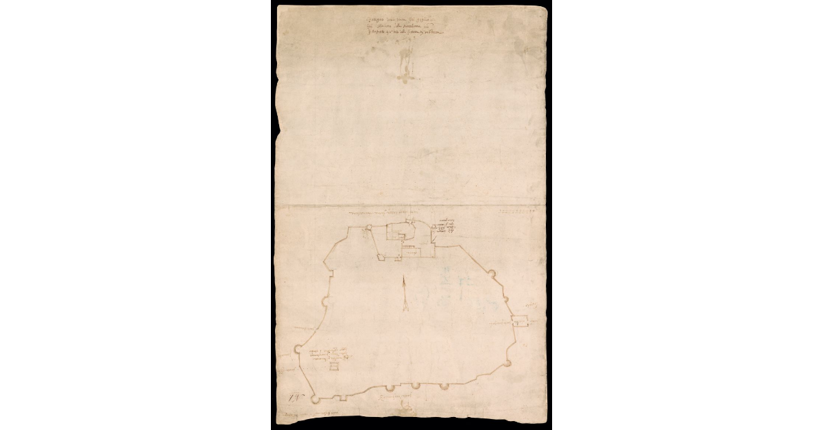 Disegno della Terra del Giglio