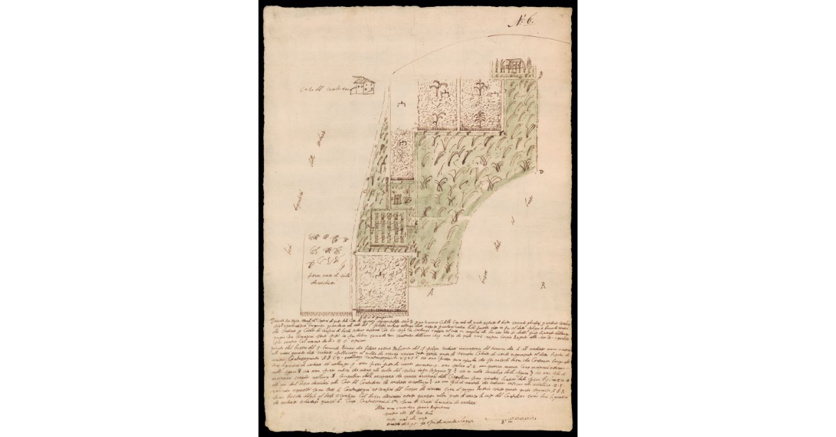 [Pianta di appezzamenti di terreno boschivo con casa del contadino per problemi di confini fra i Rinieri di Colle e i Vecchietti]