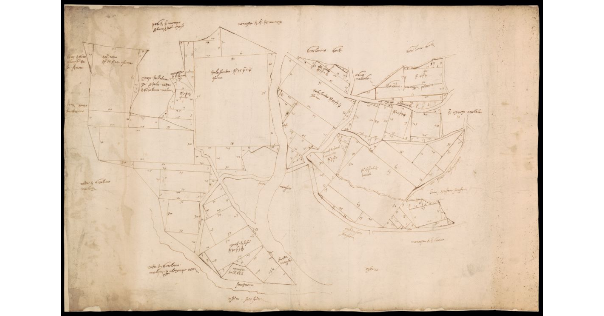 [Pianta di appezzamenti di terreno non localizzati]
