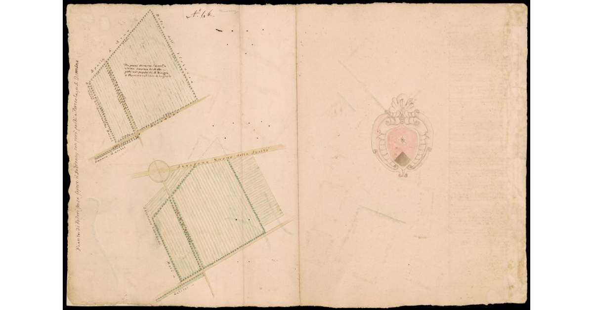 Pianta di Poderi, senza sapere il padrone; son posti però a Peretola e S. Donnino