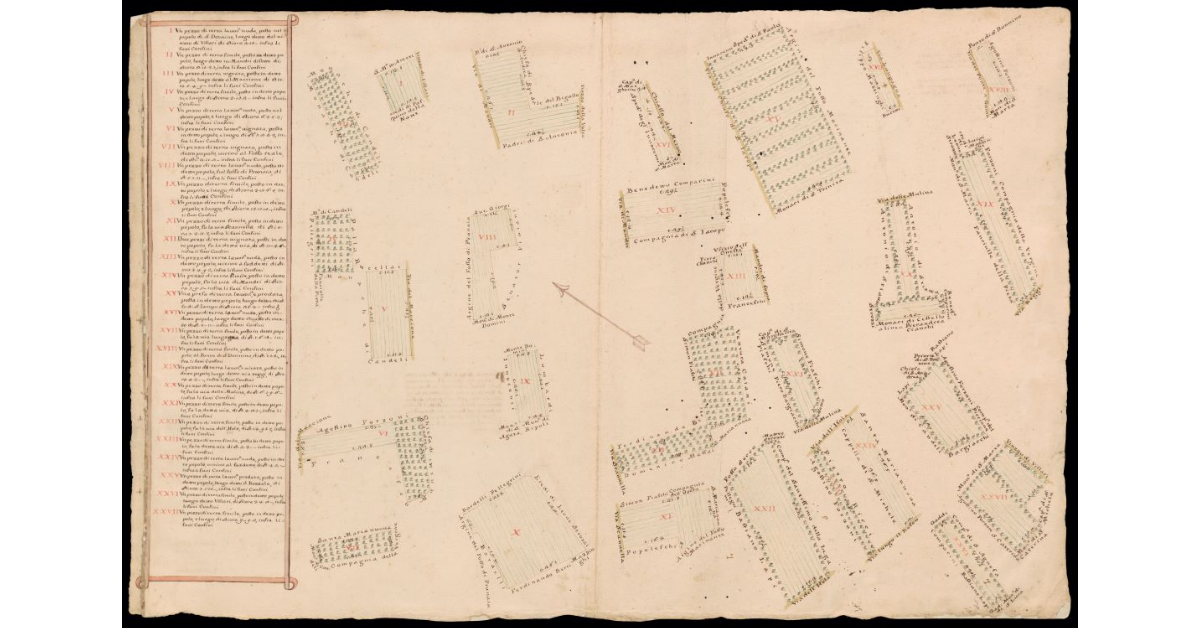 [Pianta di appezzamenti di terra attenenti al Podere di S. Donnino]