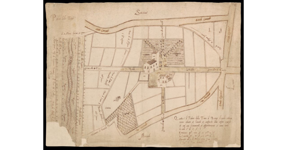 Podere della Torre [al Borgo a Buggiano]