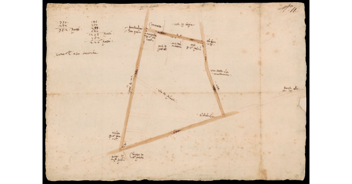 [Pianta dell'area fra le vie Borgo Pinti e della Mattonaia a Firenze]