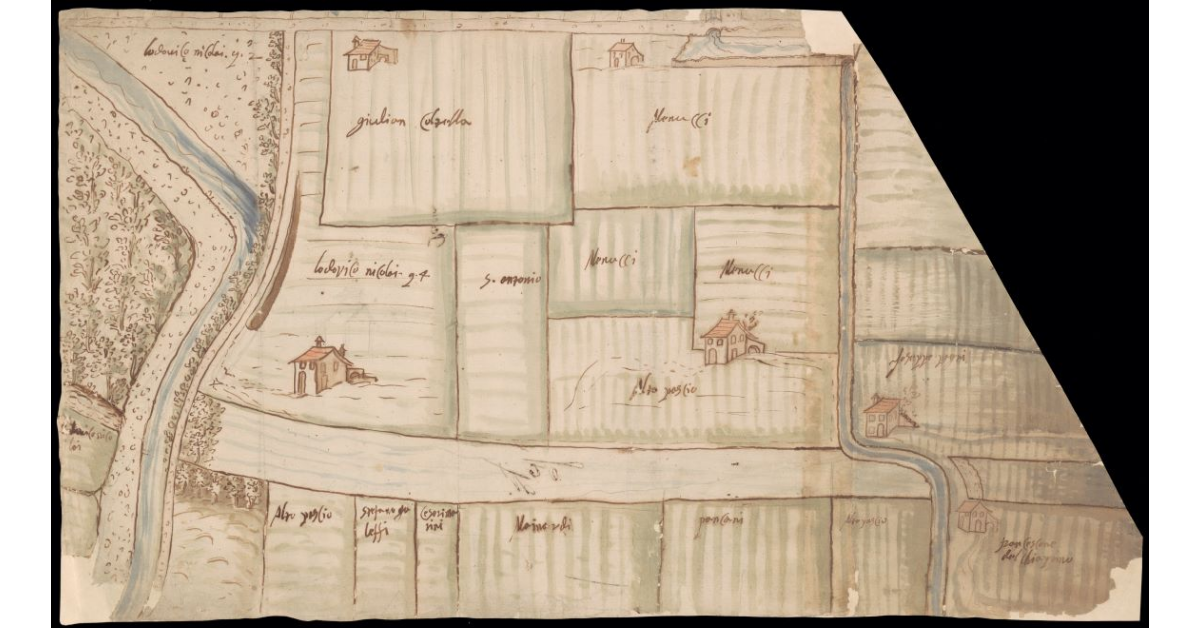 [Pianta di terreni e case presso Pescia]