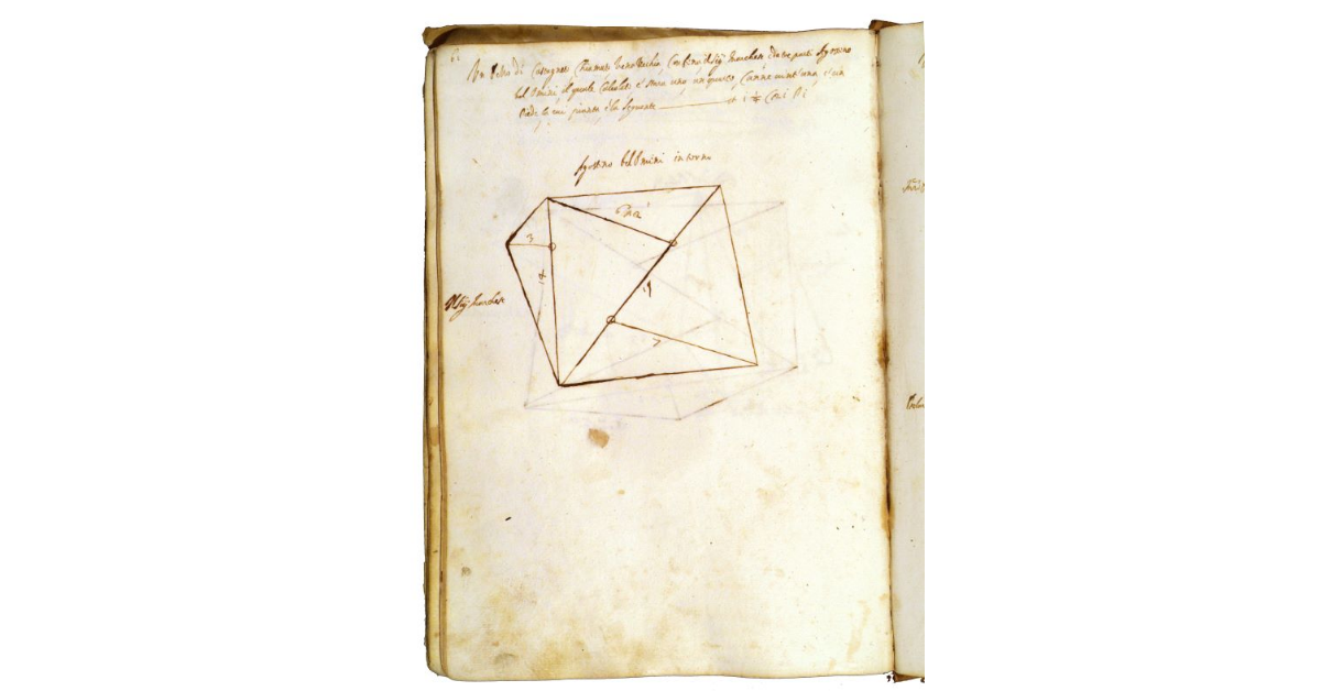 [Castagneto chiamato "Vena Vecchia"]