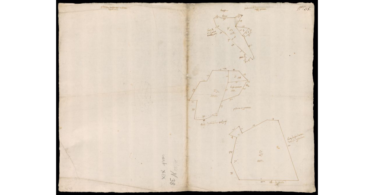 [Sbozzo di pianta dei poderi di Carraia e della Collina di Giuliano Salviati]