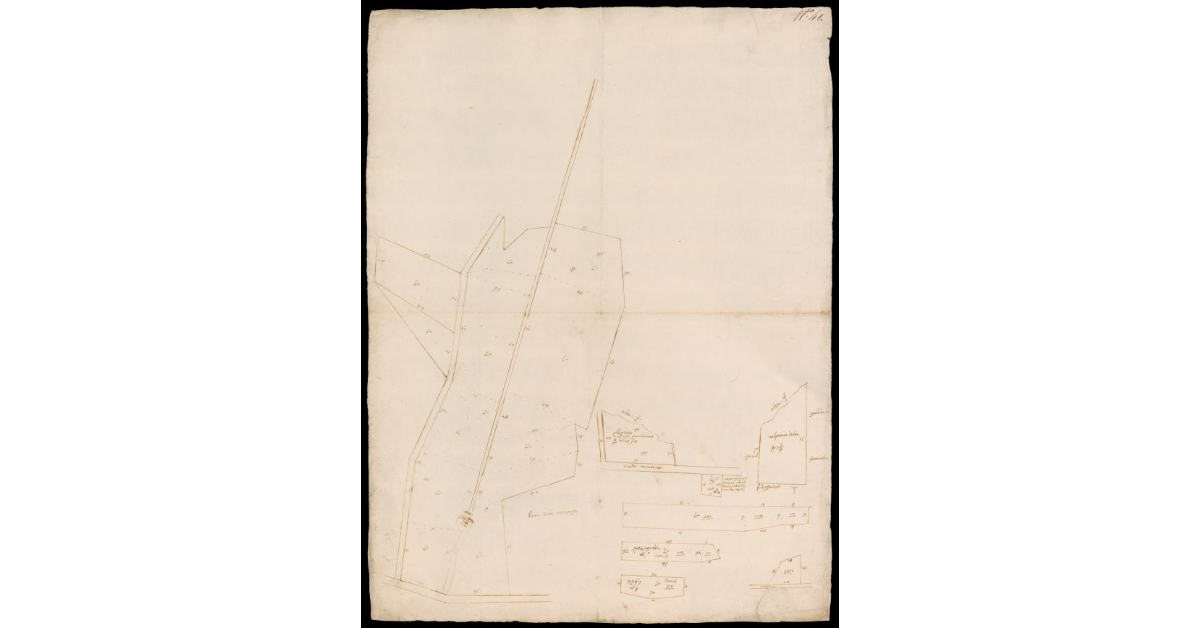 [Pianta schematica del Podere denominato del Borgo sulla via Romana nel piano dell'Elsa]