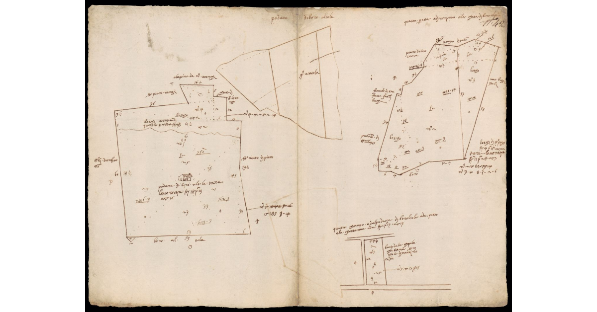 [Pianta schematica del Podere denominato Borro al Sole]