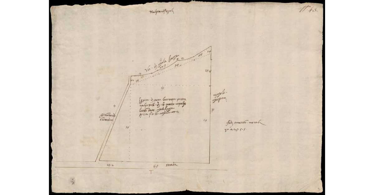 [Pianta schematica di un appezzamento di terreno in Pian di Ripoli in località Calabrache]