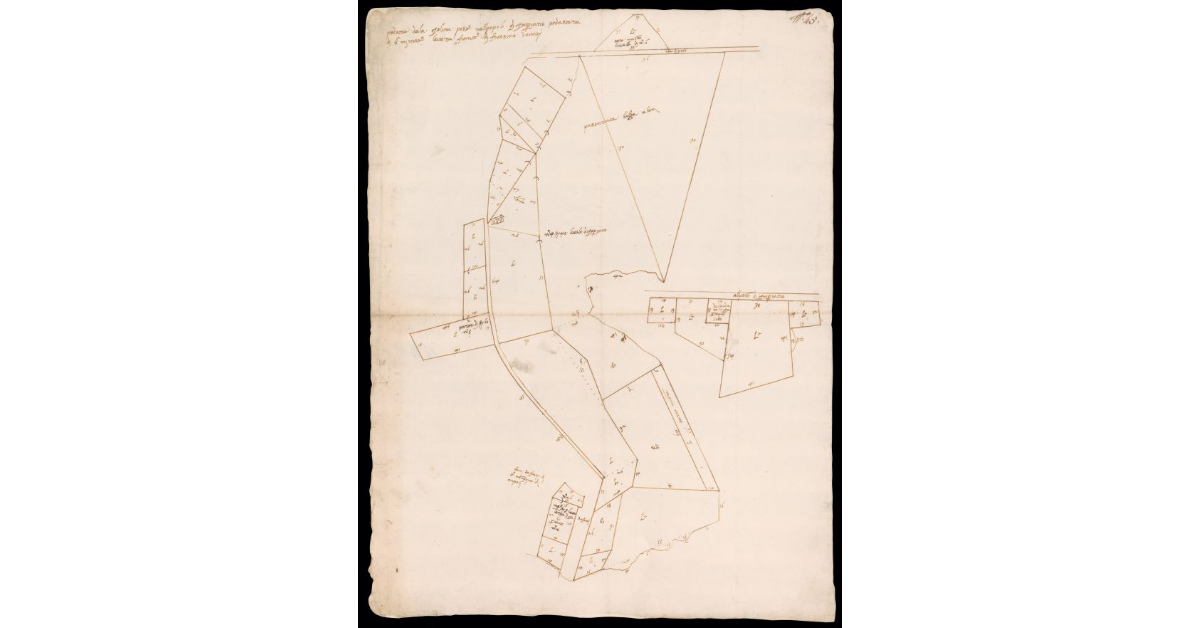 [Pianta schematica del Podere denominato Colina a Ponte a Cappiano]