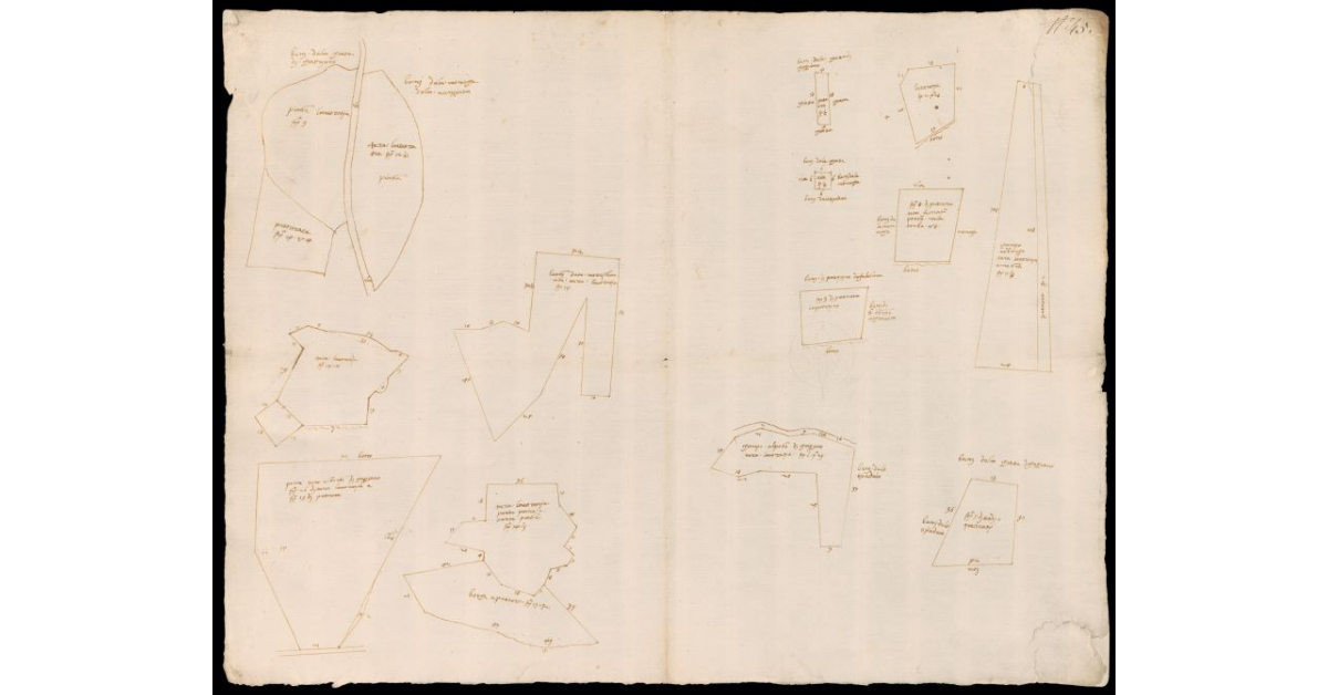 [Pianta schematica di appezzamenti di terreno a Ponte a Cappiano]