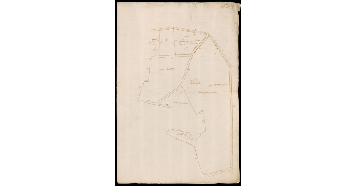 [Pianta schematica del Podere denominato del Casalino]