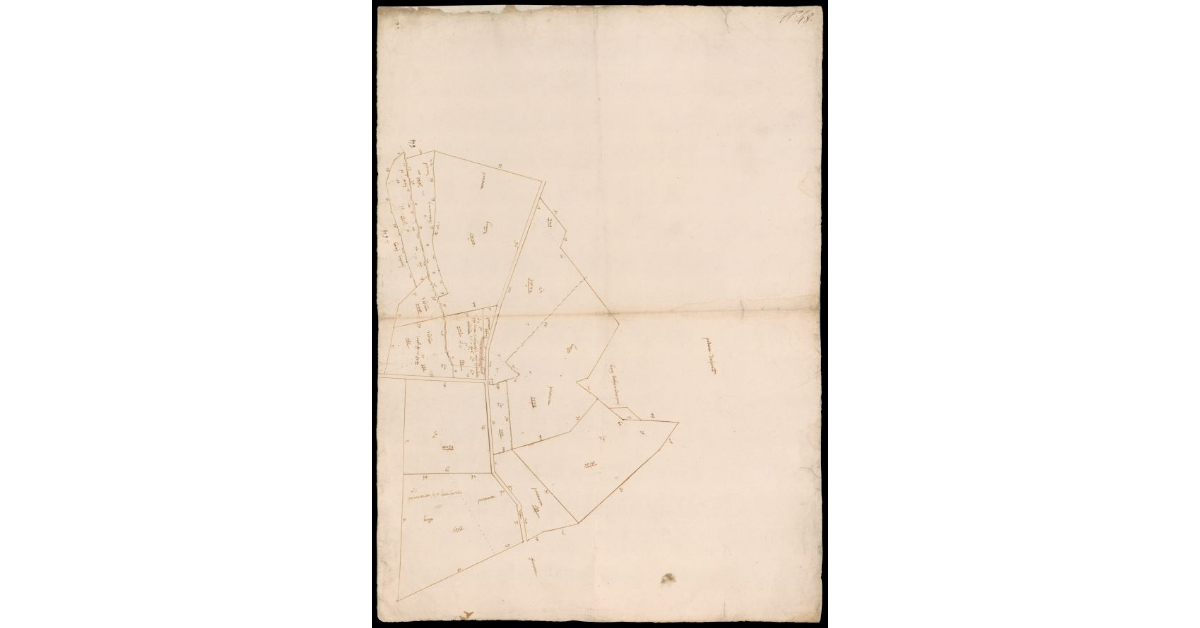 [Pianta schematica del Podere denominato il Poggio]