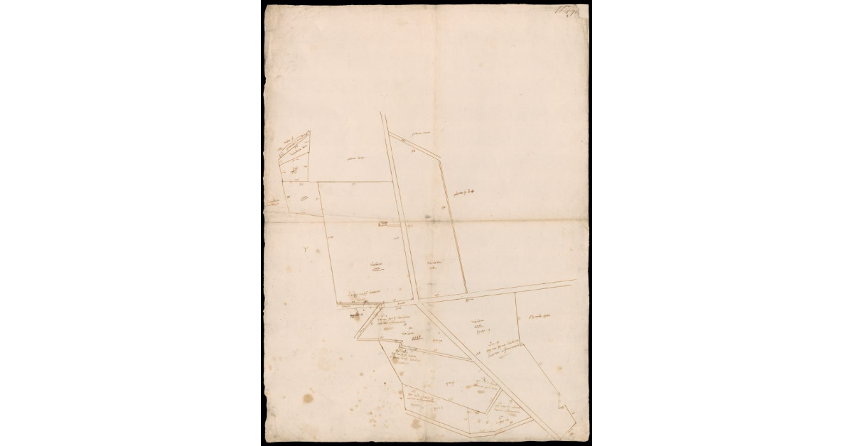 [Pianta schematica del Podere e terreni in luogo detto L'Uccelliera lungo il fiume Elsa]