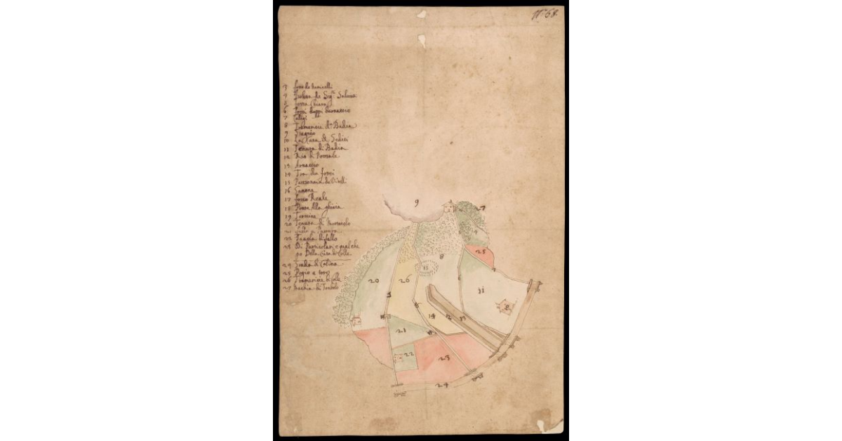 [Pianta dell'entroterra di Livorno tra Stagno, Mortaiolo e il Tombolo]