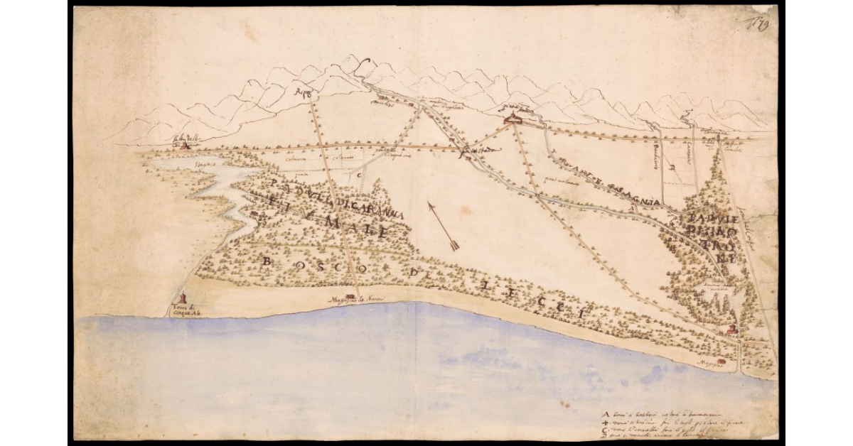 [Pianta dell'intera pianura di Pietrasanta fra la Torre del Cinquale e Motrone]