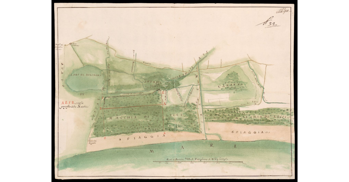 [Pianta della Pianura di Pietrasanta]