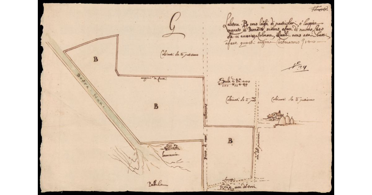 [Pianta di un tratto del fiume Borra in Valdinievole con progetto di colmata]