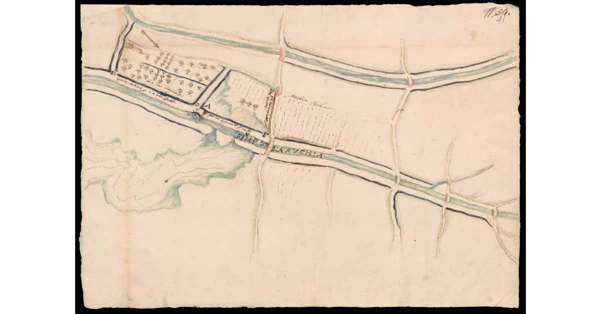 [Pianta di un tratto del fiume Mucchia nel piano di Cortona in Valdichiana]