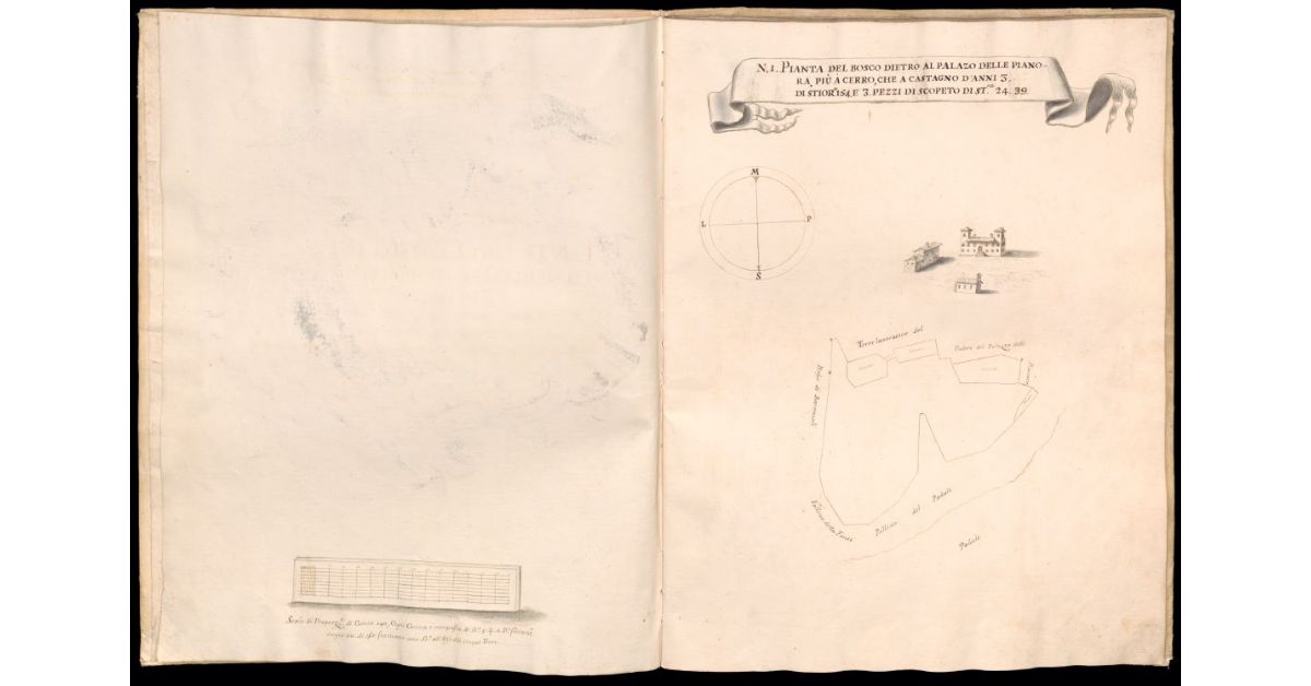 Pianta del bosco dietro al Palazzo delle Pianora